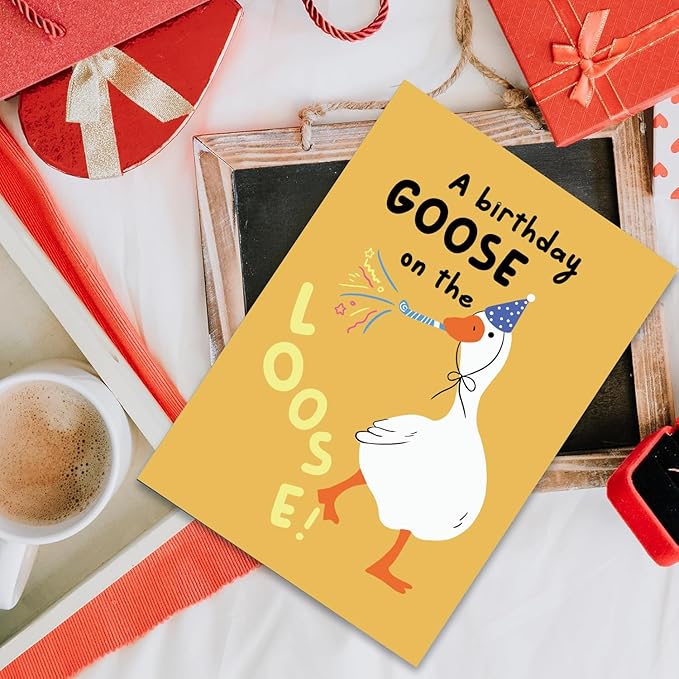 Funny Silly Goose Birthday Card For Him Her, Humorous Goose Birthday Card for Goose lover Brother Sister Dad Mom Husband Wife Bestie Friend, Hilarious Birthday Gift for Women Men
