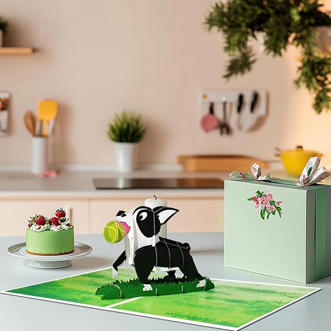 Boston Terrier Pop Up Greeting Cards with Blank Note & Envelope, ideal celebration gift for Friendship, Love, Anniversary, Special Moments, Inspirational, Appreciated, Birthday