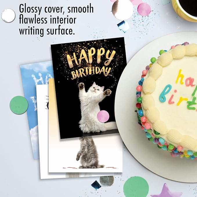 The Best Card Company - 10 Happy Birthday Note Cards Blank - Assorted Bulk Birthday Notecards, Cute Animals Boxed Set (4 x 5.12 Inch) - Cat Sent Greetings AM6112BDB-B1x10
