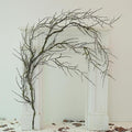 190cm/74.8inch Artificial Creepy Flexible Tree Branches Faux Grape Vines Garland Twigs with Moss Wood Craft for Halloween Door Wall Hanging Cottage Haunted Mansion Theme Outdoor Mantel Decoration (1)