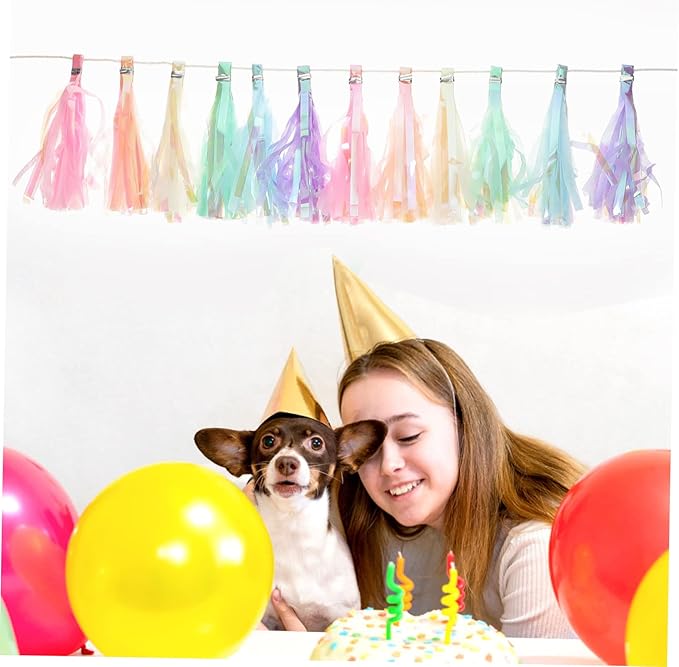 2Pcs Hanging Tassel Garland Banners for Christmas Showers Birthdays and Eye Catching Backdrop for Walls Tables and Windows