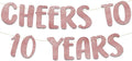 Pre-Strung Cheers to 10 Years Rose Gold Glitter Banner - 10th Birthday and Anniversary Decorations for Boys and Girls - Party Supplies and Gifts