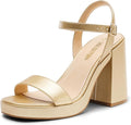 DREAM PAIRS Heels for Women Block Chunky Platform High Heels Open Toe Fashion Wedding Party Evening Prom Dance Ankle Strap Dress Pump Sandals Shoes