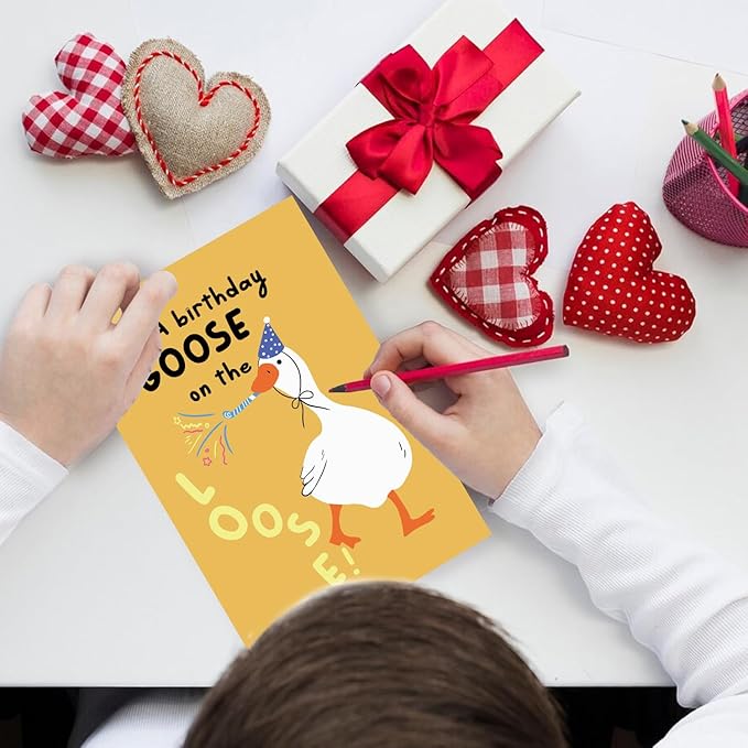 Funny Silly Goose Birthday Card For Him Her, Humorous Goose Birthday Card for Goose lover Brother Sister Dad Mom Husband Wife Bestie Friend, Hilarious Birthday Gift for Women Men