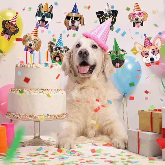 Hooqict Dog Birthday Banner Puppy Themed Party Decorations for Backdrop Dog Party Banner Happy Birthday Garland Sign for Boys Girls Kids 1st 2nd 3rd