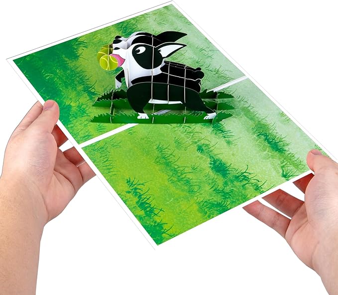 Boston Terrier Pop Up Greeting Cards with Blank Note & Envelope, ideal celebration gift for Friendship, Love, Anniversary, Special Moments, Inspirational, Appreciated, Birthday