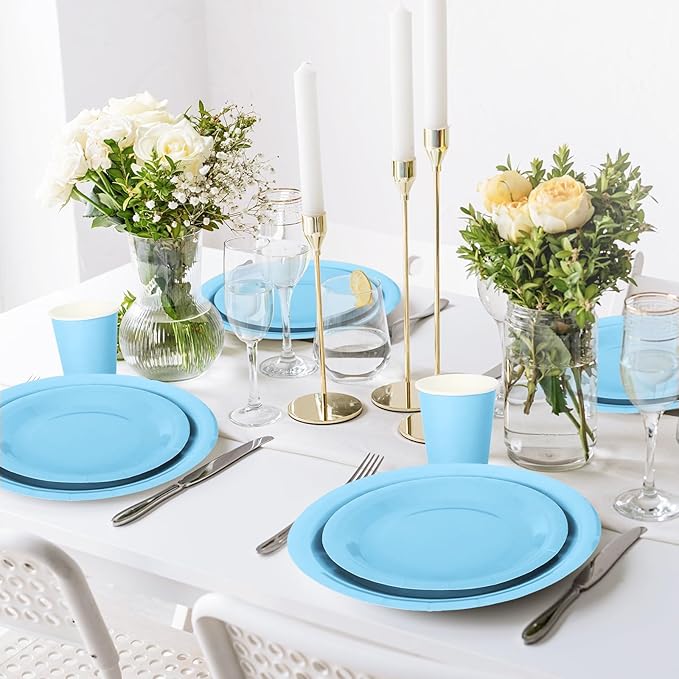 Whaline 100Pcs Light Blue Tableware Set Blue Graudation Party Supplies Summer Disposable Dinnerware Set 50Pcs Paper Plates 25Pcs Napkin 25Pcs Cups for Wedding Birthday Bride Shower Party Table Decor