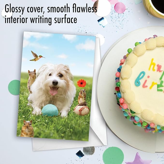 NobleWorks - 1 Happy Birthday Card with Funny Animals - Wildlife and Pet Humor, Fun Birthday Celebration Notecard - Dog Play C3205BDG