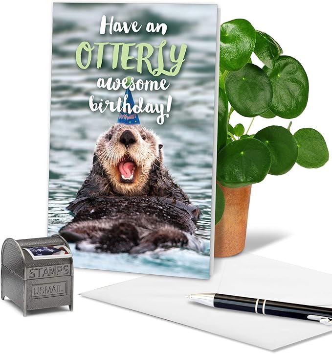 NobleWorks - 1 Happy Birthday Card with Funny Animals - Wildlife and Pet Humor, Fun Birthday Celebration Notecard - Otterly Awesome B C6574BBDG