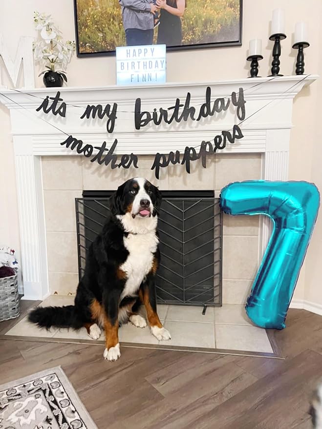 7 Number Balloons Light Blue, 17th Birthday Decorations For Boys And Girls, 40 Inch Big Balloons for 7, 17, 27, 70 Birthday, Wedding Anniversary, Christmas, New Year, Halloween Party Decor