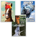 NobleWorks Assortment Pack of 3 Hysterical Birthday Greeting Cards with Envelopes for Men and Women (3 Designs, 1 Each) Horsing Around VC10014BDG-C1x3