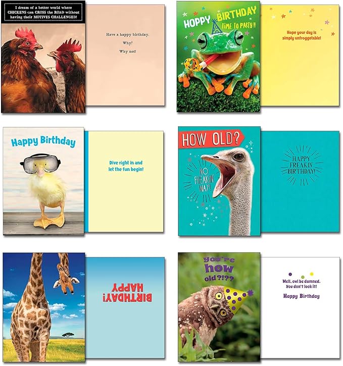 Leanin' Tree Wildly Funny - Made In USA - 20 Assorted Cards with Envelopes All Occasion, Birthday Cards Funny Enough to Make You Laugh, Includes Birthday, Encouragement, Friendship, Thank You and More