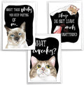 NobleWorks, Assortment Pack of 3 Funny Birthday Greeting Cards with Envelopes (3 Designs, 1 Each) Cat Antics Party VC10794BDG-C1x3