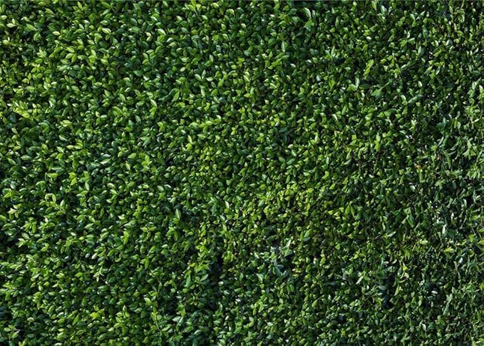 Nature Spring 3D Green Leaves Theme Photo Background Wedding Birthday Party Newborn Baby Shower Photography Backdrops Zoo Decor Shoot Props Bannner (9X6 FT)