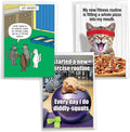 NobleWorks Assortment Pack of 3 Hysterical Birthday Greeting Cards with Envelopes for Men and Women (3 Designs, 1 Each) Kitten Fitness VC10012BDG-C1x3