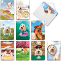 NobleWorks 20 Assorted Box Set Funny Birthday Greeting Cards w/5 x 7 Inch Envelopes (10 Designs, 2 Each) Bday Shaggy Dogs AC3216BDG-B2x10
