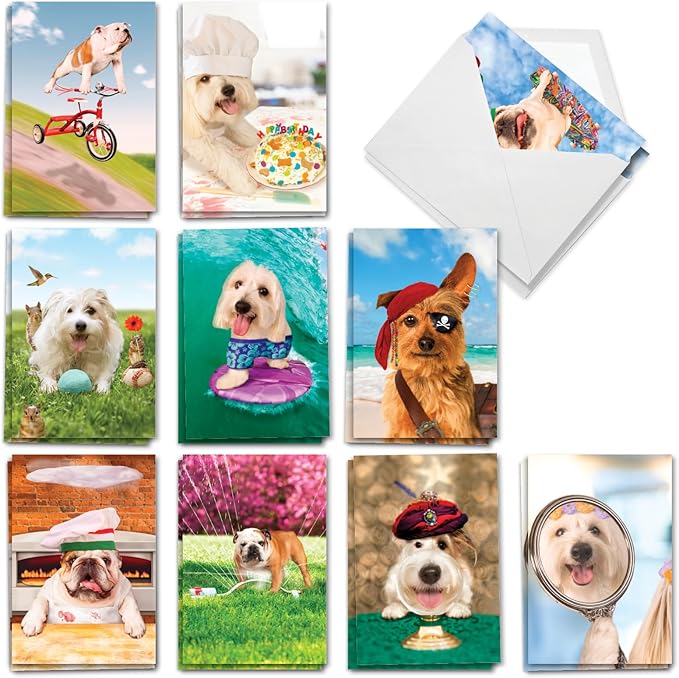 NobleWorks 20 Assorted Box Set Funny Birthday Greeting Cards w/5 x 7 Inch Envelopes (10 Designs, 2 Each) Bday Shaggy Dogs AC3216BDG-B2x10
