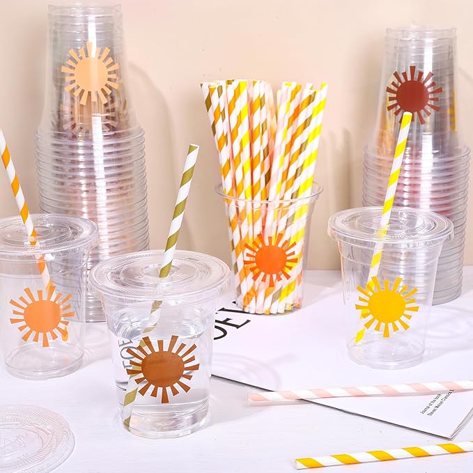 Whaline 60Pcs Boho Sun Disposable Plastic Cups With Lids And Straws 12 oz Colorful Sunshine Pattern Cold Beverage Drinking Cup For First Birthday Baby Shower Party