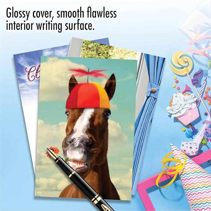 NobleWorks Assorted 3 Pack, Hysterical Animal Women's Birthday Greeting Cards with 5 x 7 Inch Envelopes (3 Designs, 1 Each) Wild Life VC2806BDG-C1x3