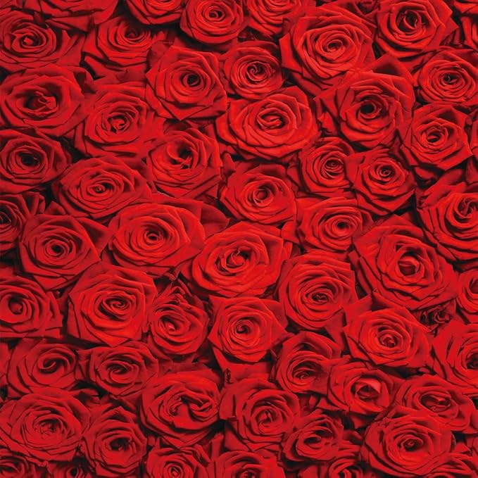 RUINI Red Rose Floral Wedding Photography Backdrop Rose Wall Valentines Day Wedding Bridal Shower Party Decorations Banner 8x8FT