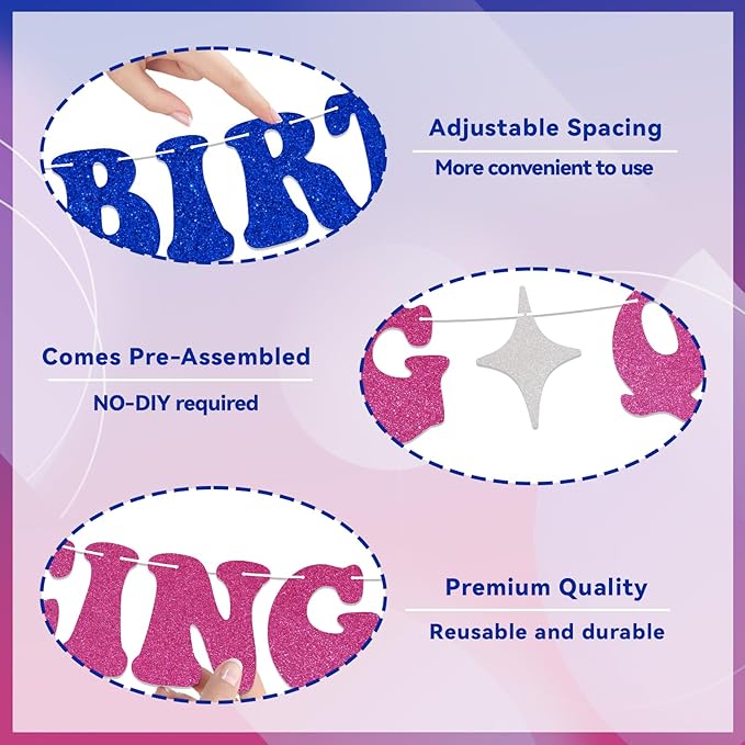 Happy Birthday Dancing Queen Banner Dancing Queen Themed Birthday Party Decorations Disco Bday Decorations Mamma Mia Decor Blue & Hot Pink