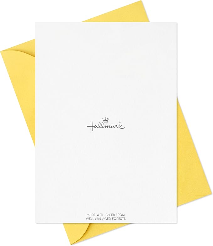 Hallmark Thank You Cards Assortment, Primary Colors (48 Thank You Notes for Kids and Adults) for Graduation, Baby Shower, Birthdays, All Occasion
