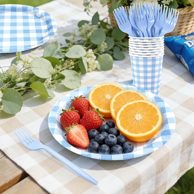 Blue Gingham Disposable Party Tableware Set for 30 Guests – 9 & 7 Inch Paper Plates, Cups, Napkins and Forks, Blue Checkered Paper Dinnerware for Birthday, Picnic, Baby Shower, Outdoor Gatherings