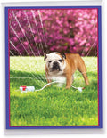 NobleWorks Extra Large Hilarious Birthday Paper Card From Us 8.5 x 11 Inch with Envelope (1 Pack) Big, Jumbo Bday Dog In Sprinkler J3209BDG-US
