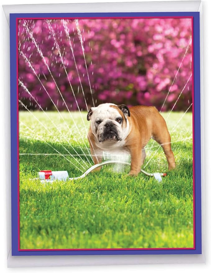 NobleWorks Extra Large Hilarious Birthday Paper Card From Us 8.5 x 11 Inch with Envelope (1 Pack) Big, Jumbo Bday Dog In Sprinkler J3209BDG-US