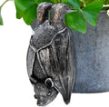 HPMAISON Plant Pot Hanger Bat Resin Statue Halloween Bat Garden Flower Pot Decoration Outdoor Decorative Sculptures Ornaments Figurine Weatherproof and UV Resistant