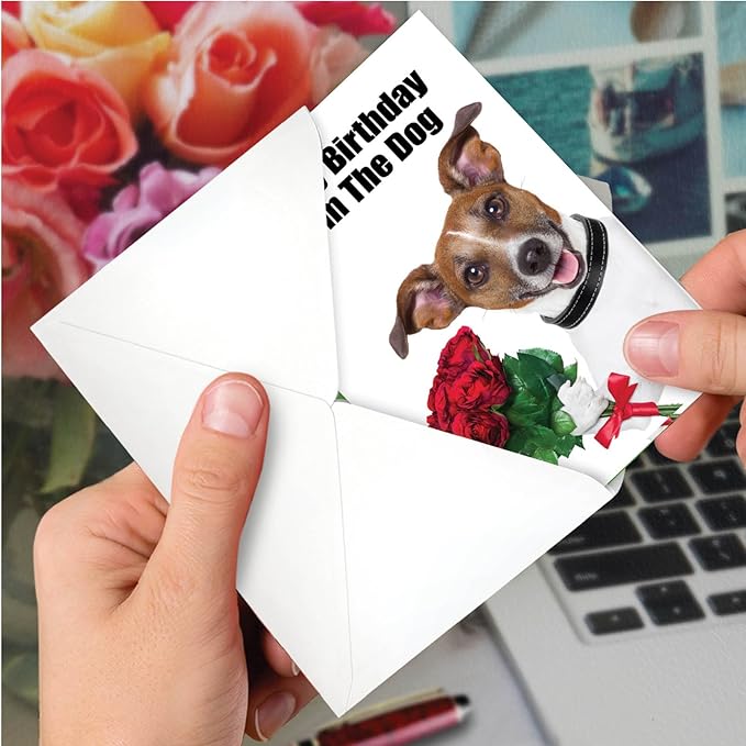 NobleWorks - 1 Funny Birthday Pet Greeting Card w/ 5 x 7 Envelope For Men, Women - From The Dog C3614BDG