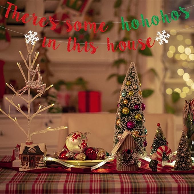 There's Some Ho Ho Hos in This House Banner, Glittery Red Green Christmas Party Decorations Banners Winter Holiday Garland Photo Props Banner for Party Home Office Decorations