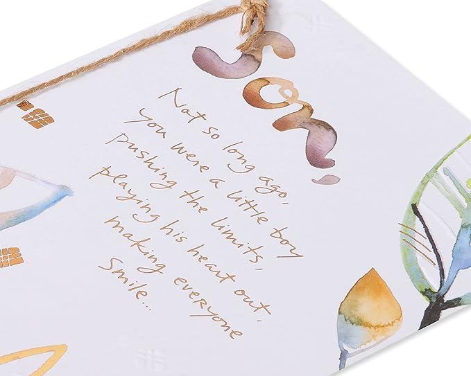 American Greetings Birthday Card for Son (Not Much Has Changed)