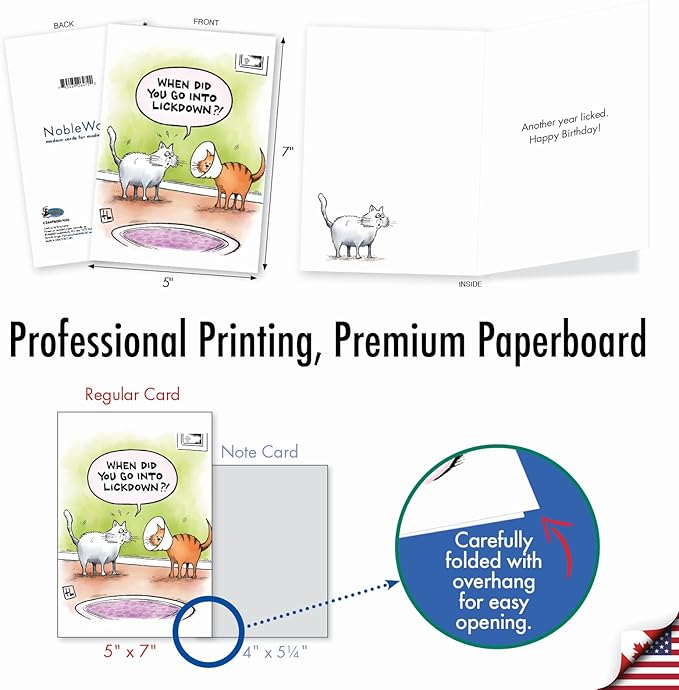 NobleWorks - 1 Awesome Birthday Greeting Card - Cartoon Art, Happy Funny Bday Note - Lickdown C2449BDG