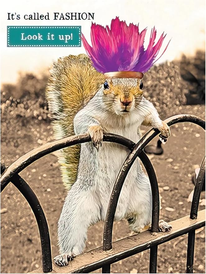 Leanin' Tree Wildly Funny - Made In USA - 20 Assorted Cards with Envelopes All Occasion, Birthday Cards Funny Enough to Make You Laugh, Includes Birthday, Encouragement, Friendship, Thank You and More
