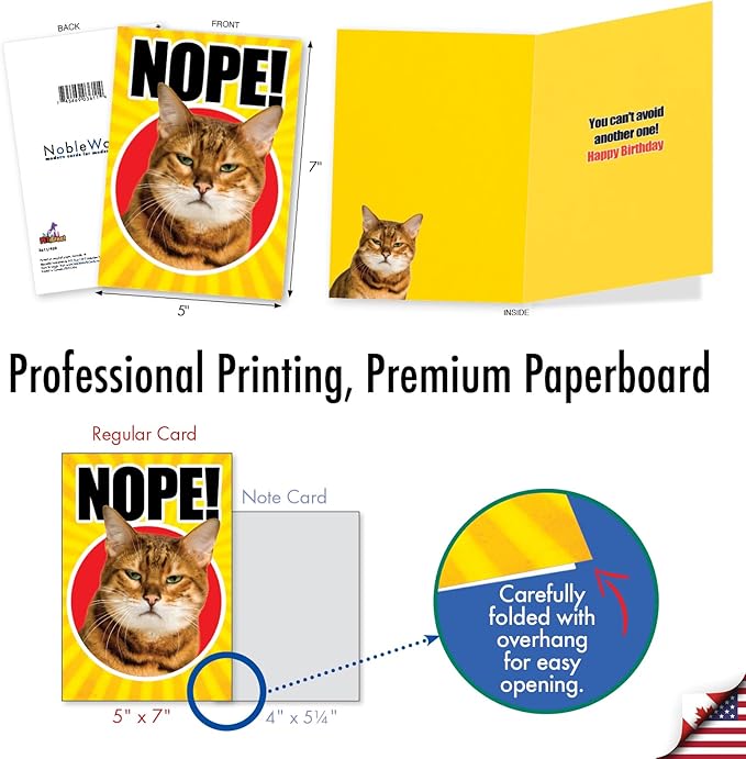 NobleWorks 20 Assorted Box Set Funny Birthday Greeting Cards w/5 x 7 Inch Envelopes (10 Designs, 2 Each) Bday PetiGreet Cats AC4886BDG-B2x10