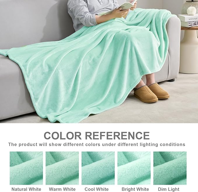 Hansleep Fleece Lake Green Twin Blanket, Super Soft Flannel Fuzzy Plush Cozy Blanket for All Seasons, Lake Green, Twin 60x80 Inches
