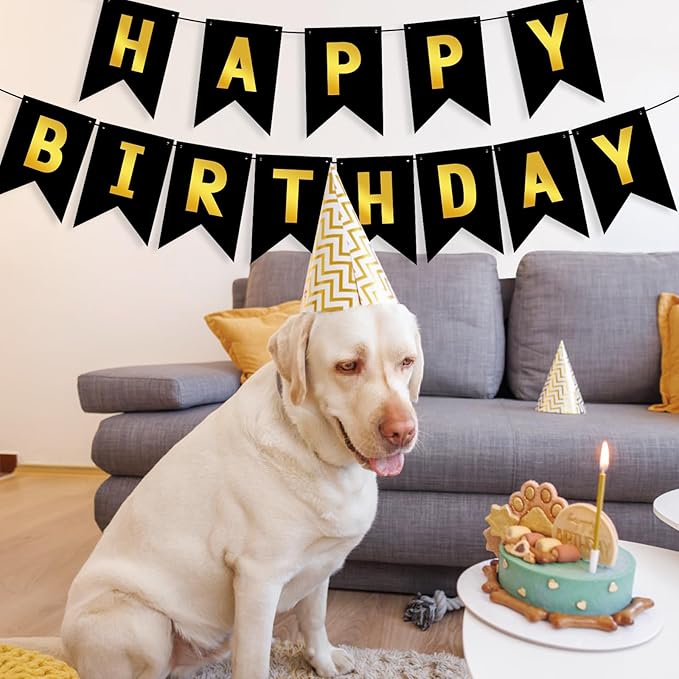 Hooqict Happy Birthday Banner Black and Gold Birthday Decorations for Kids Men Women Black Party Banner Decorations Supplies Wall Door Garland Sign Bunting Flag