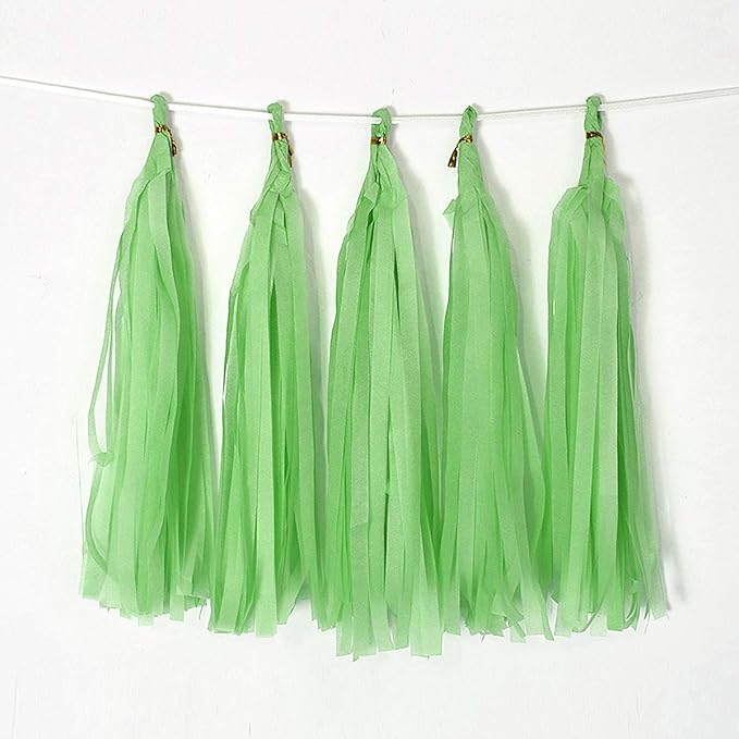 9.8in Tissue Paper Tassel DIY Hanging Paper Decorations Party Garland for Party, Wedding, Festival, Baby Shower - 20PCS (Light Green 25CM)