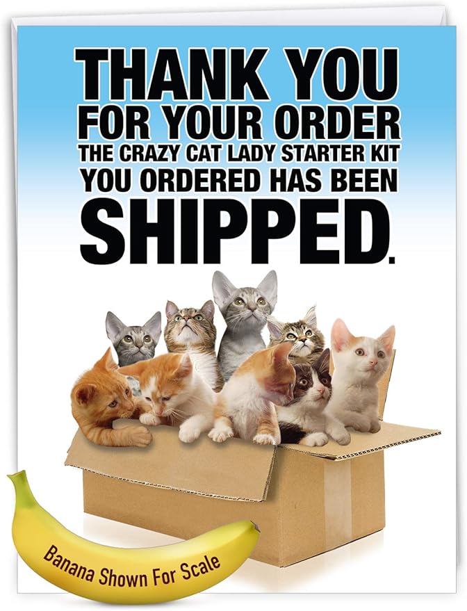 NobleWorks - 1 Funny Jumbo Birthday Greeting Card (8.5 x 11 Inch) - Cute Animal Humor for Birthday, Large Card - Cat Lady Starter Kit J8016