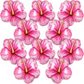 10Pcs Tropical Hibiscus Foil Balloons, Pink Hibiscus Flowers Balloon for Magic Theme Summer Hawaiian Luau Aloha Birthday Party Decorations