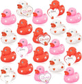 20pcs Rubber Ducks with Cards Gift Valentines Day Party Favors Small 2.36” Assorted Pink Red White Squeaky Duckies in Bulk with Love Heart Cards Treats Giveaways for Kids Cupcake Topper