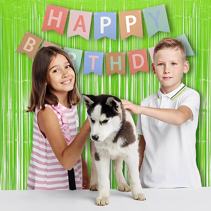 BRAVESHINE Pastel Green Streamers Party Backdrop Decoration - Tinsel Curtain Foil Fringe Backdrop for St Patricks Day/Birthday/Dinosaur/Lime Green/Frog Theme/Wizard Decorations - 3.2ft X 8.2ft