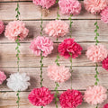 Gradient Pink Tissue Paper Pom Pom Garlands, Paper Flowers for Birthday Decorations, Baby Shower, Wedding Engagement, Bridal Shower, Spring Summer Party Decorations