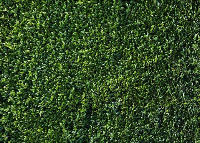 Nature Spring 3D Green Leaves Theme Photo Background Wedding Birthday Party Newborn Baby Shower Photography Backdrops Zoo Decor Shoot Props Bannner (8x6 FT)