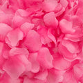 1500 Pcs Pre-separated Artificial Gradient Pink Rose Petals for Romantic Night,Faux Gradient Pink Flower Petals for Flower Girl,Weddings,Valentine Day,Party,Romantic Decoration(Ready-to-use)