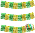 BEISHIDA 3 Packs Metallic Foil Fringe Garland Green Gold Wall Hanging Tinsel Fringe Banners for Car Floats Bridal Shower Wedding Birthday Graduation Holiday Party Decoration(30 Feet)