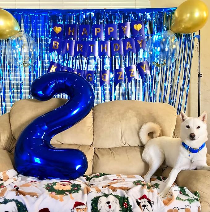 Blue Backdrops Curtains Party Decorations, Tinsel Streamers Birthday Decoration for Easter Decoration, Photo Booth Props for Graduation, Wedding, 2Pack 3.28X8.2Ft