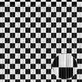 Crosize 2 Pack 3.3 x 9.9 ft Race Car Party Decorations Fringe Curtains, Black & White Tinsel Curtain Backdrop for Parties, Door Streamers, Glitter Streamer Backdrop for Birthday Decoration