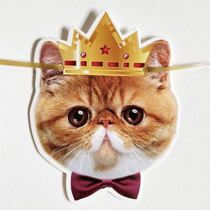 Happy Birthday Cat Banner Garland Funny Decor Cat Face Bday Party Bunting Decorations Gold Sign
